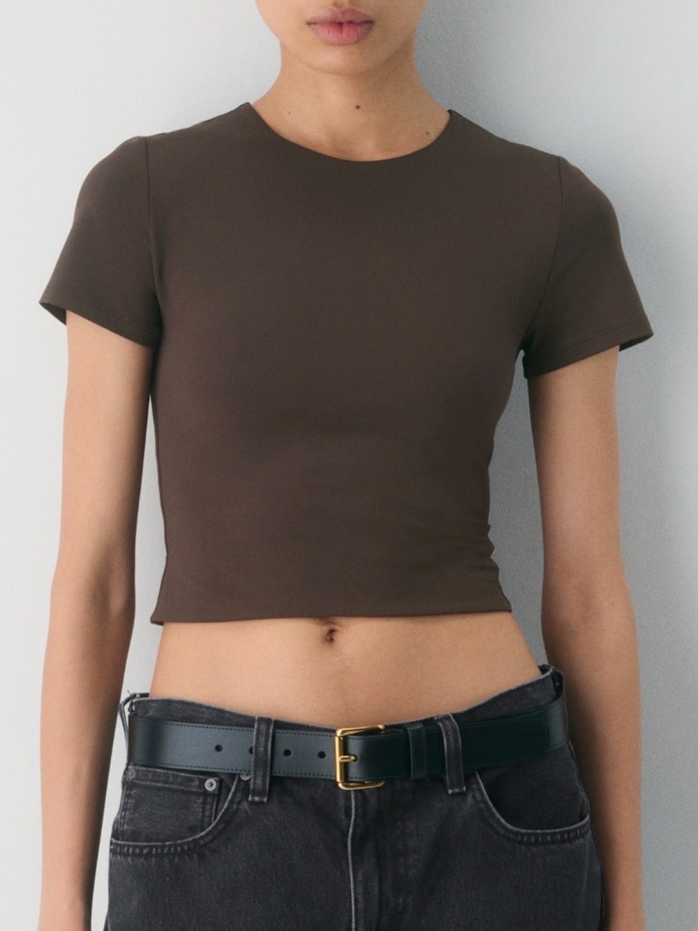 Aritzia Babaton Contour Crop Tee
